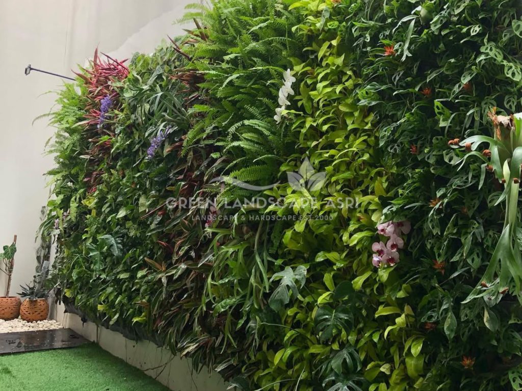 Jasa Vertical Garden Tanaman Asli