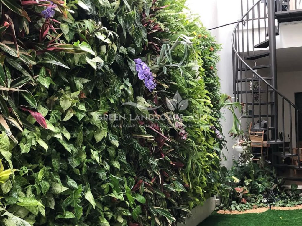 Jasa Vertical Garden Tanaman Asli