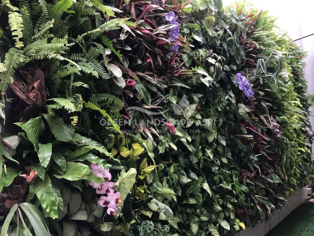 Jasa Vertical Garden Tanaman Asli