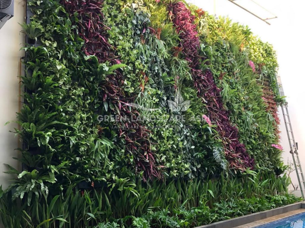 Jasa Vertical Garden Tanaman Asli