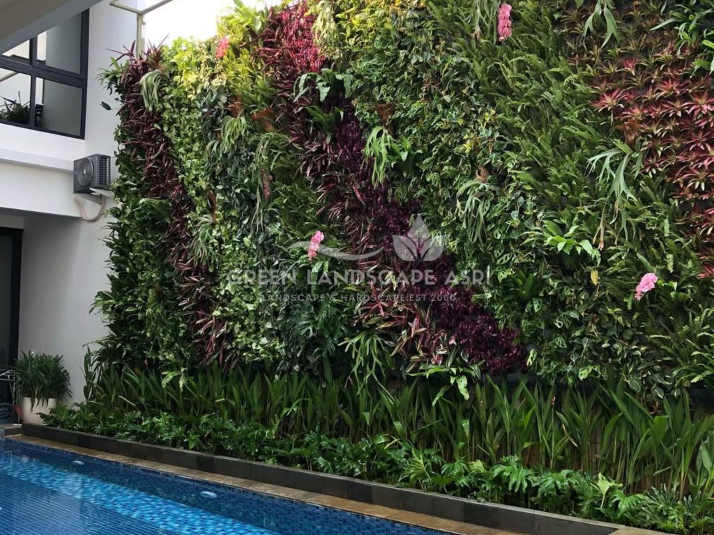 Jasa Vertical Garden Tanaman Asli