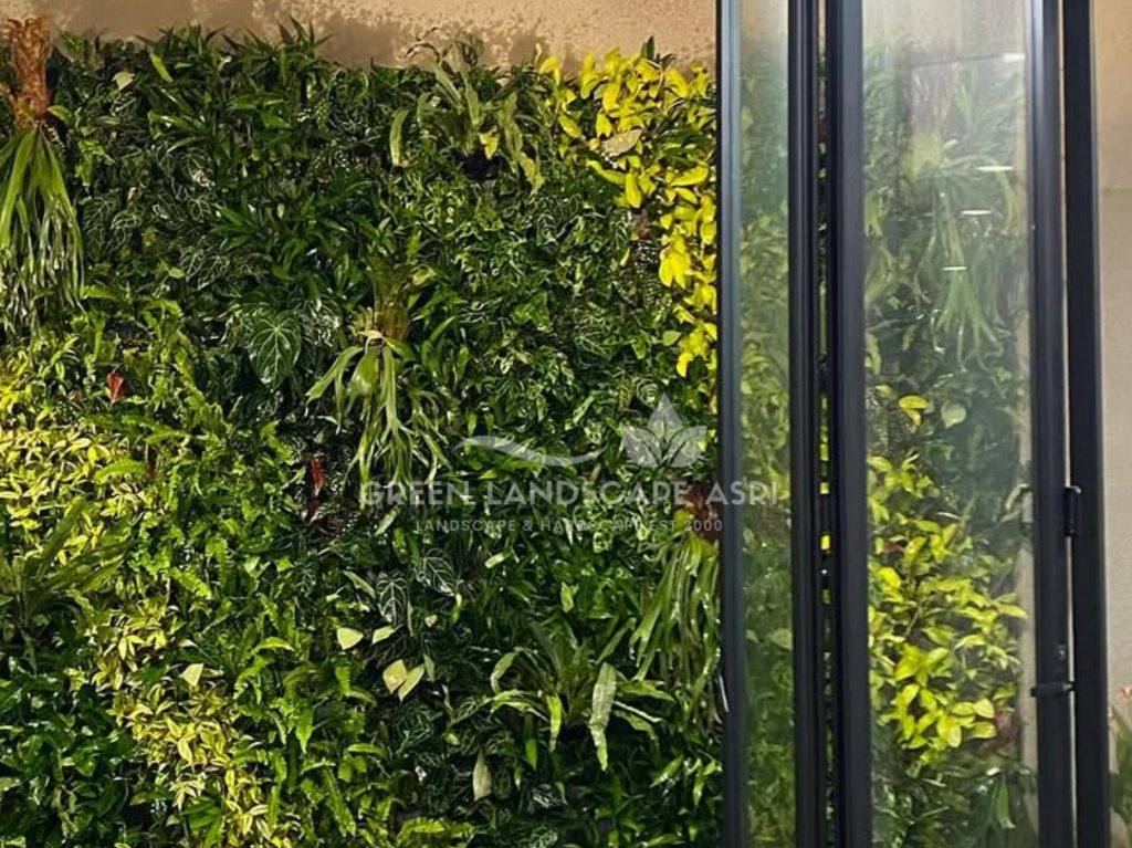 Jasa Vertical Garden Tanaman Asli