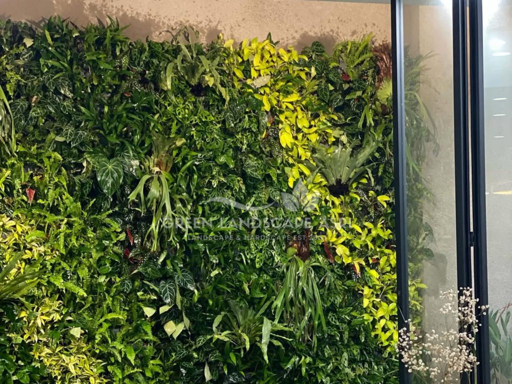 Jasa Vertical Garden Tanaman Asli