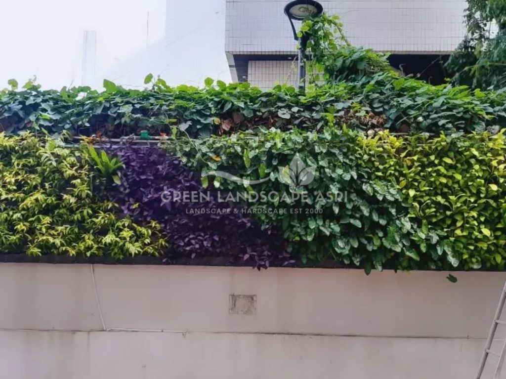 Jasa Vertical Garden Tanaman Asli