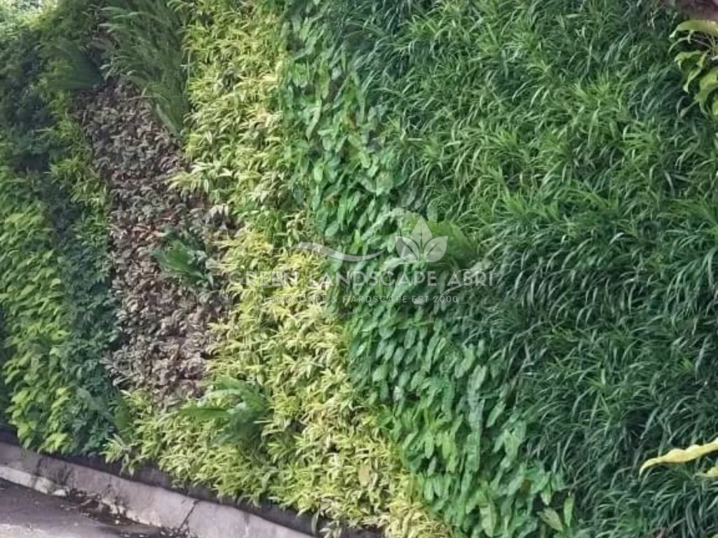 Jasa Vertical Garden Tanaman Asli