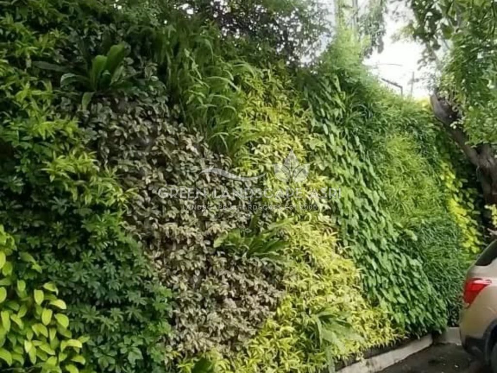 Jasa Vertical Garden Tanaman Asli