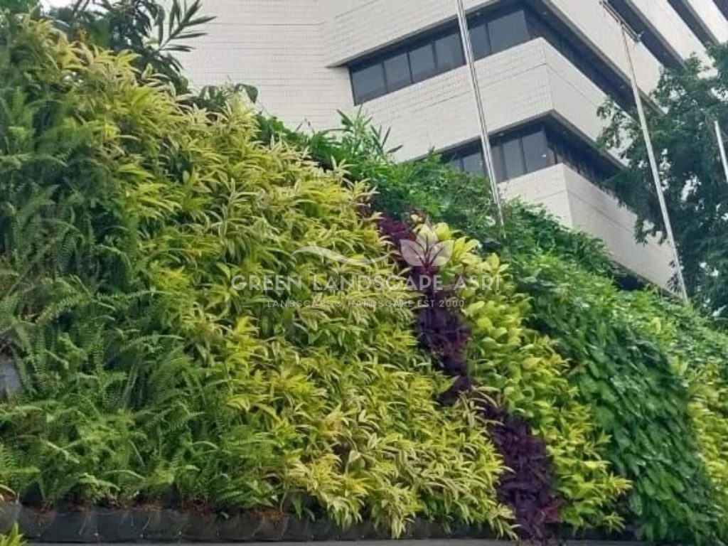 Jasa Vertical Garden Tanaman Asli