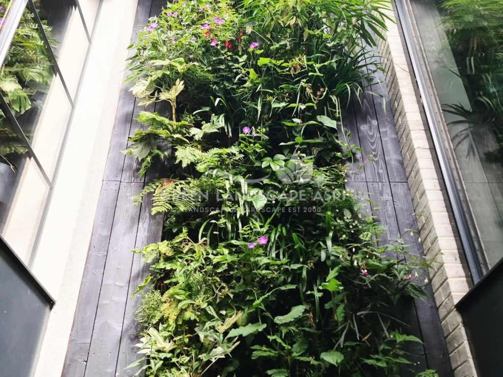 Jasa Vertical Garden Tanaman Asli