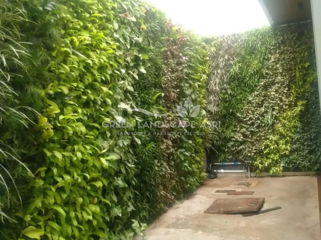 Jasa Pembuatan Vertical Garden