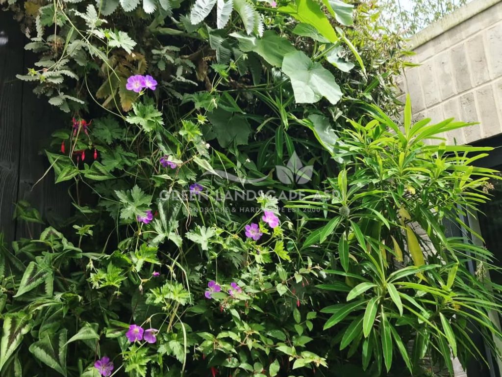 Jasa Vertical Garden Tanaman Asli