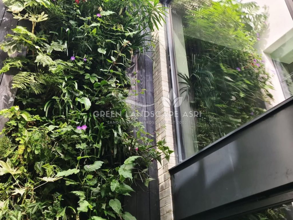 Jasa Vertical Garden Tanaman Asli