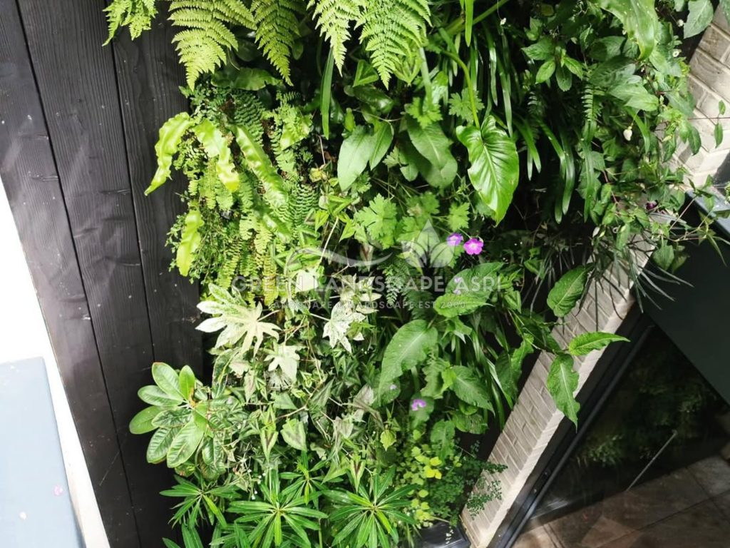 Jasa Vertical Garden Tanaman Asli