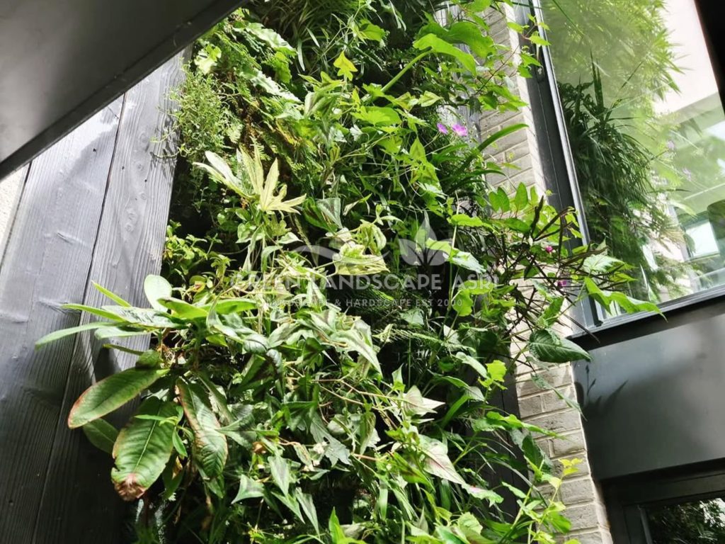 Jasa Vertical Garden Tanaman Asli