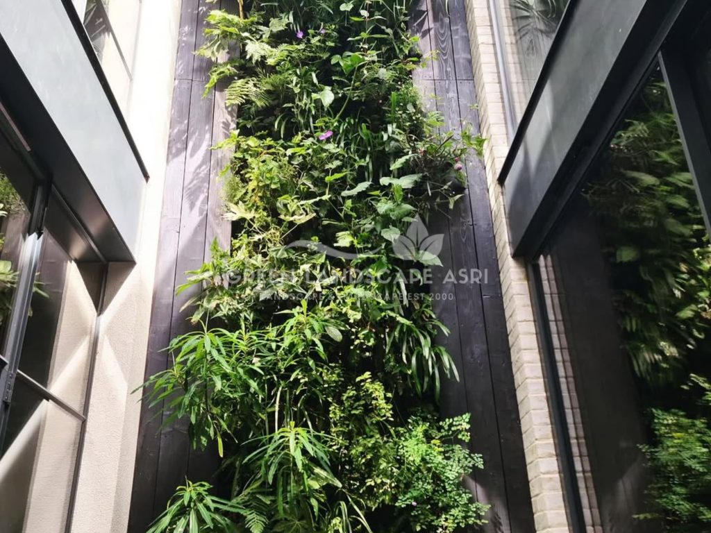 Jasa Vertical Garden Tanaman Asli