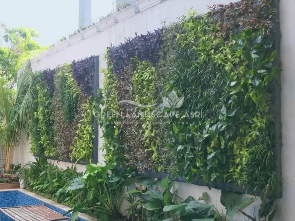 Jasa Vertical Garden Tanaman Asli