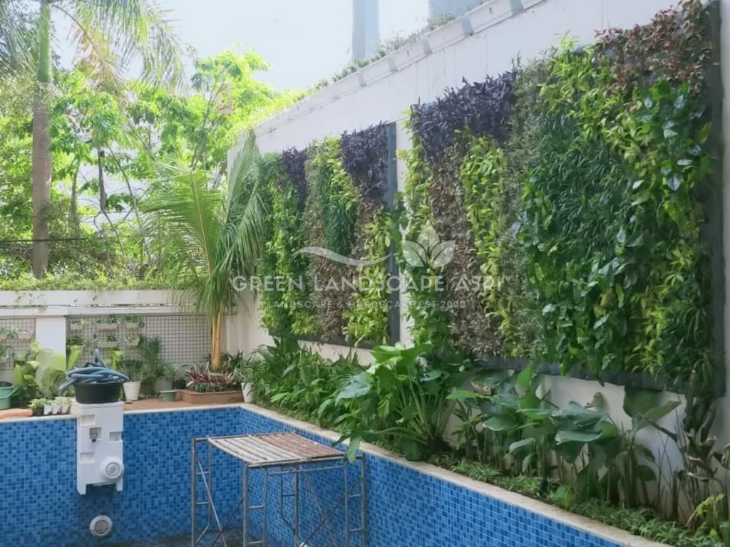 Jasa Vertical Garden Tanaman Asli