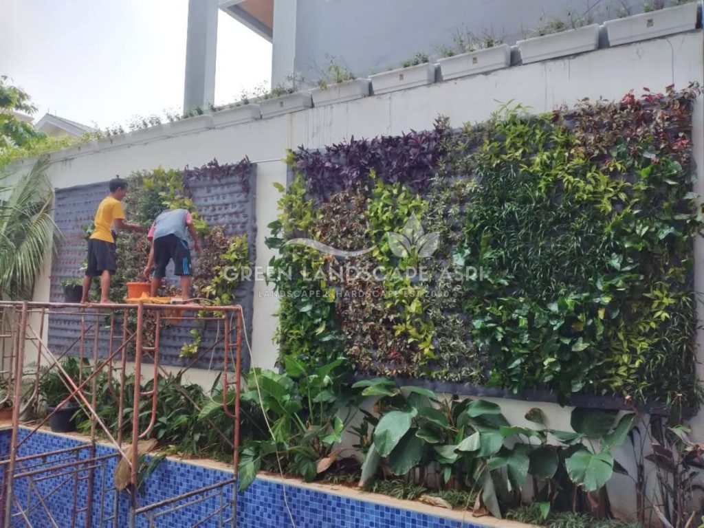 Jasa Vertical Garden Tanaman Asli