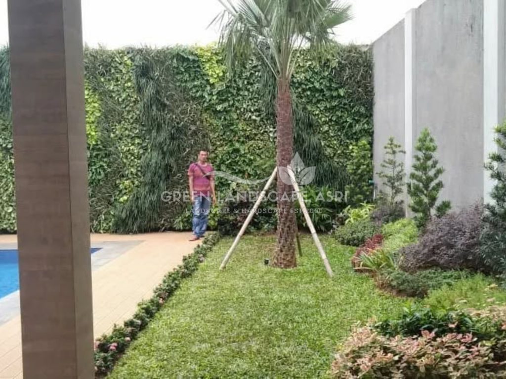 Tukang Taman Vertikal Bergaransi