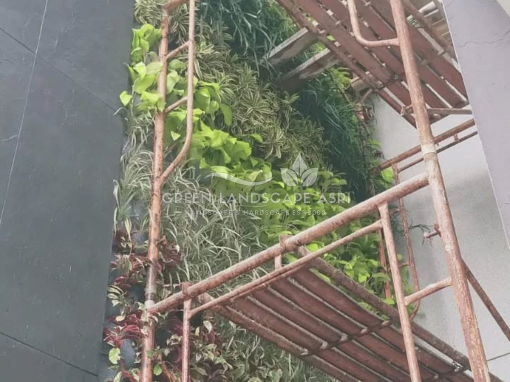 Tukang Taman Vertikal Bergaransi