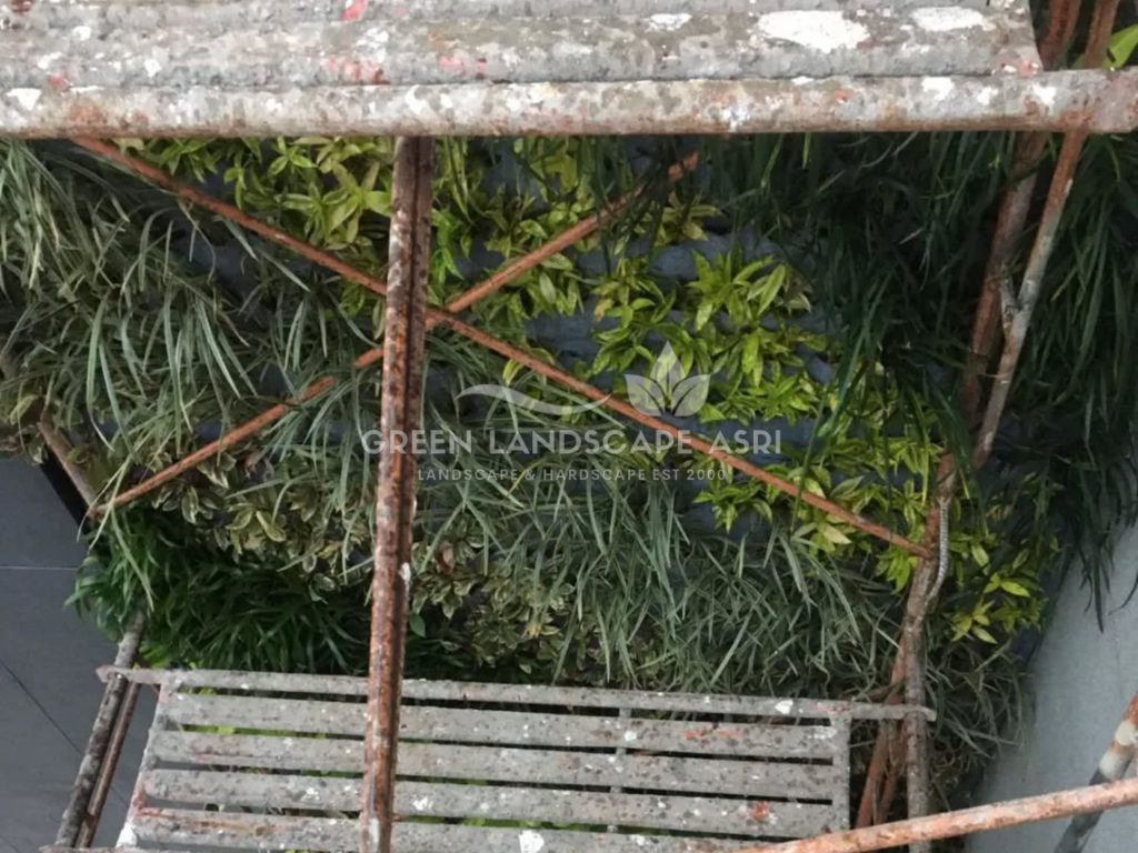 Tukang Taman Vertikal Bergaransi
