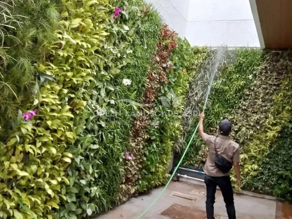 Jasa Pembuatan Vertical Garden