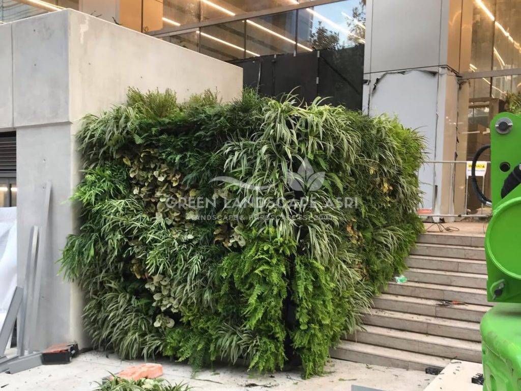 Tukang Taman Vertikal Bergaransi