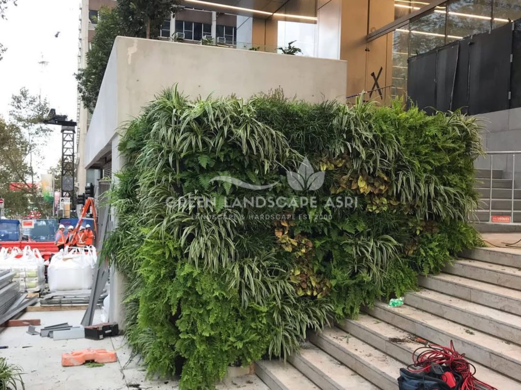 Tukang Taman Vertikal Bergaransi