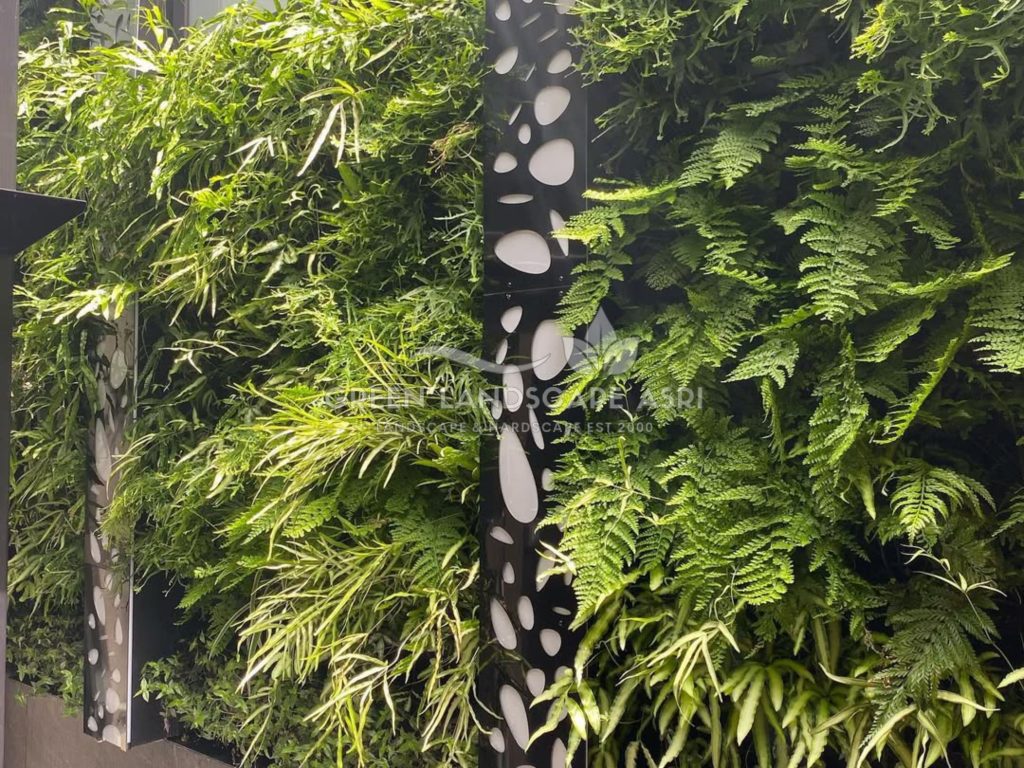 Tukang Taman Vertikal Bergaransi