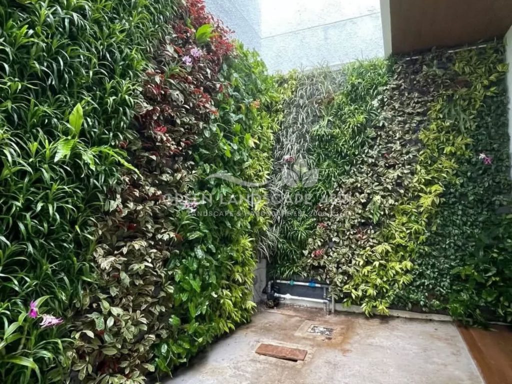 Jasa Pembuatan Vertical Garden