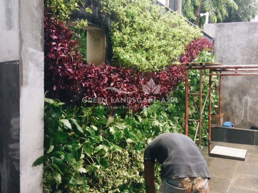 Jasa Pembuatan Vertical Garden