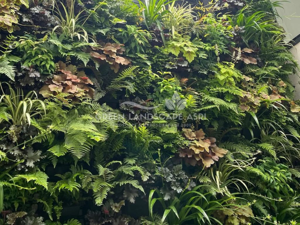 Tukang Taman Vertikal Bergaransi