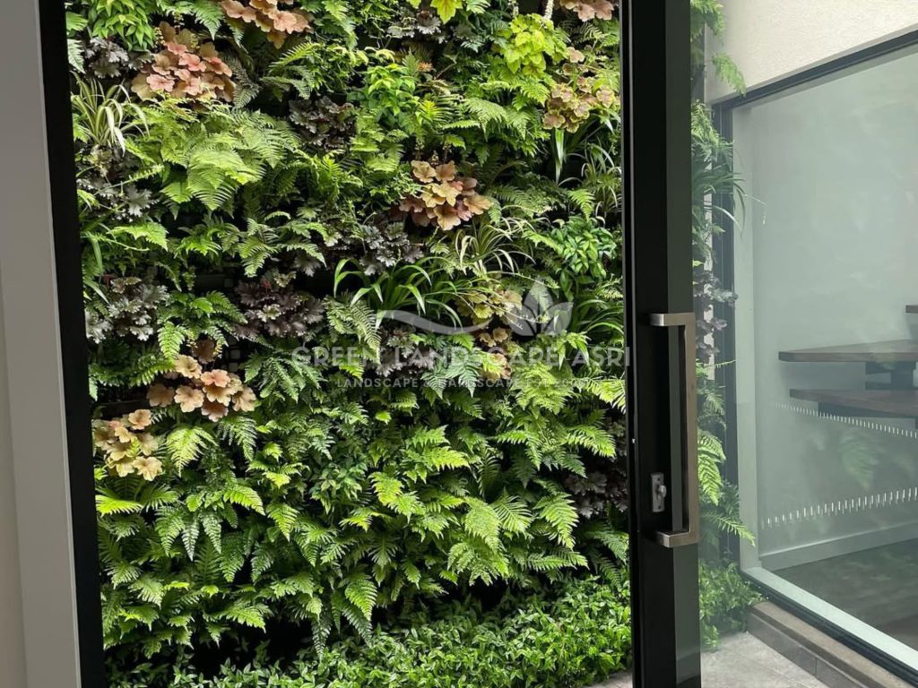 Tukang Taman Vertikal Bergaransi