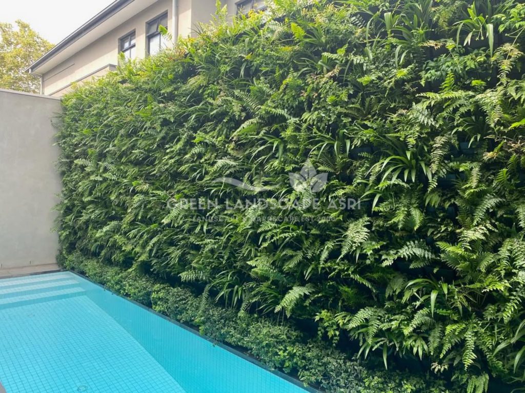 Tukang Taman Vertikal Bergaransi