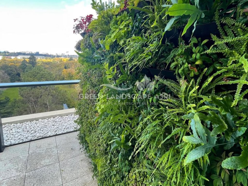 Tukang Taman Vertikal Bergaransi