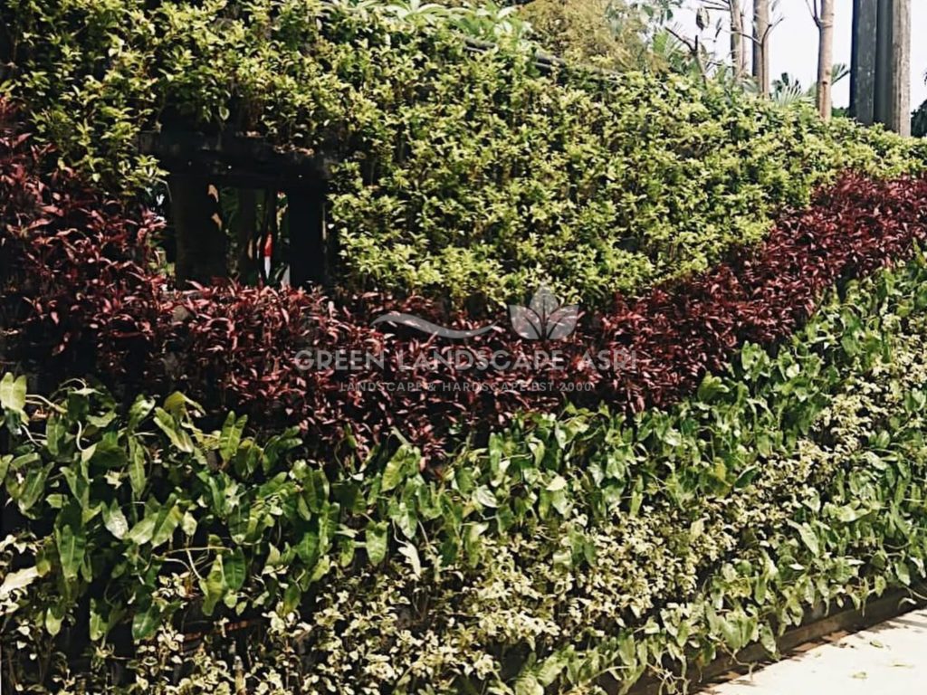 Jasa Pembuatan Vertical Garden