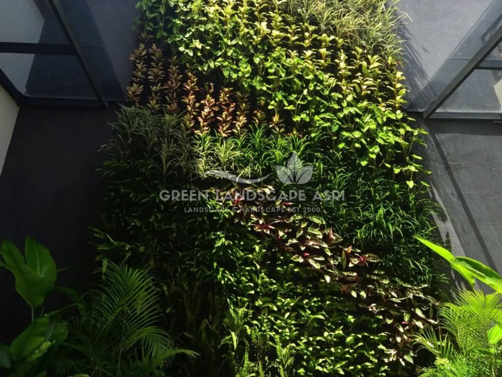 Tukang Taman Vertikal Bergaransi