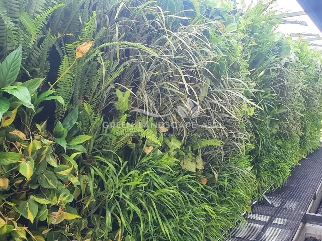 Jasa Pembuatan Vertical Garden