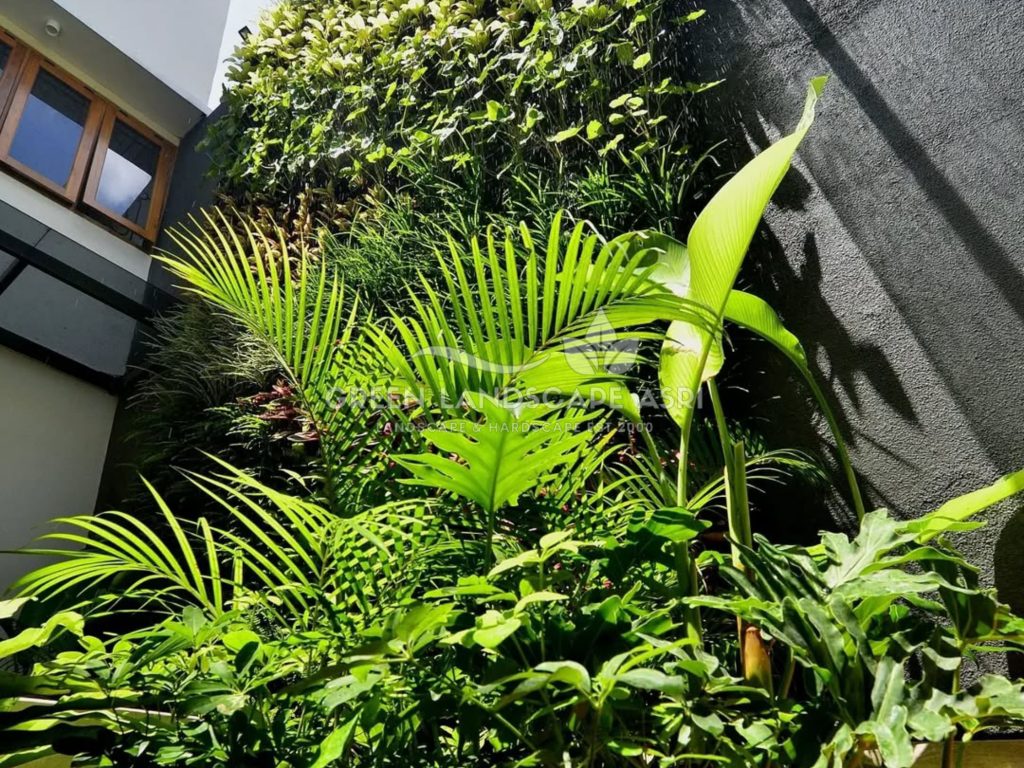 Tukang Taman Vertikal Bergaransi