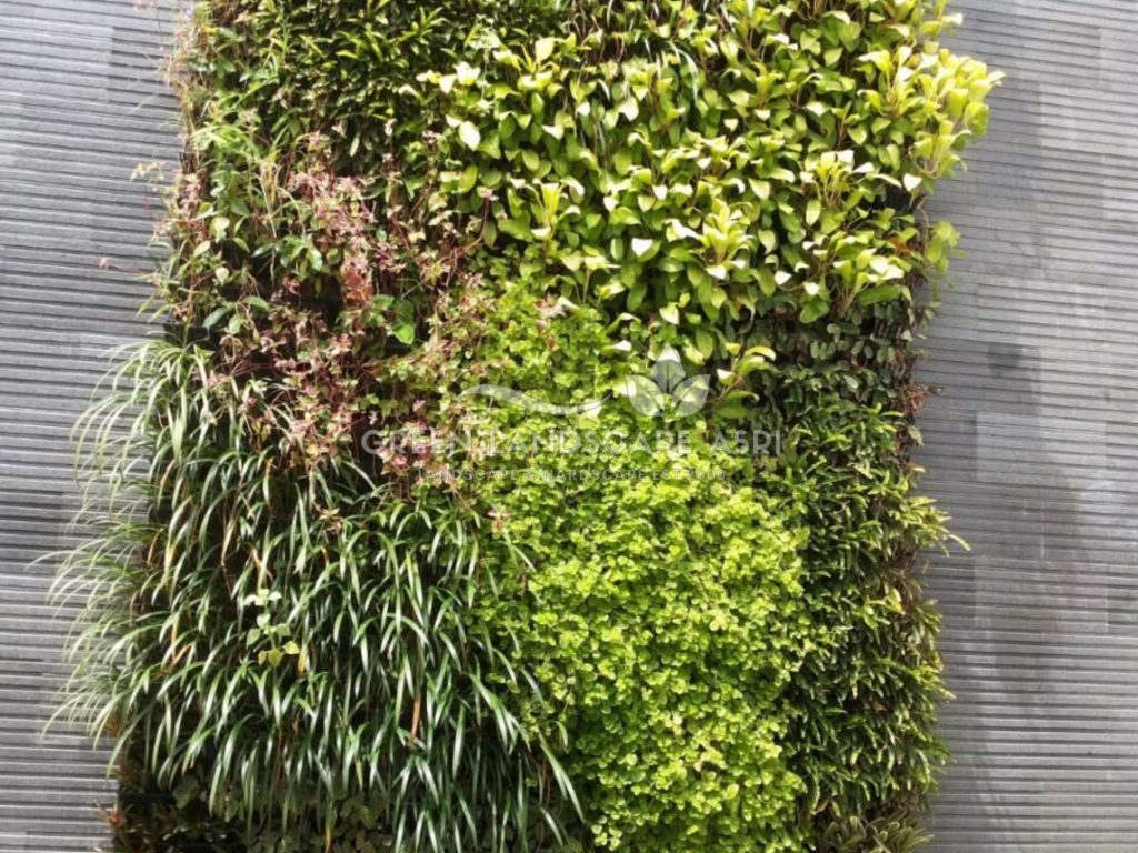 Harga Pasang Taman Vertikal