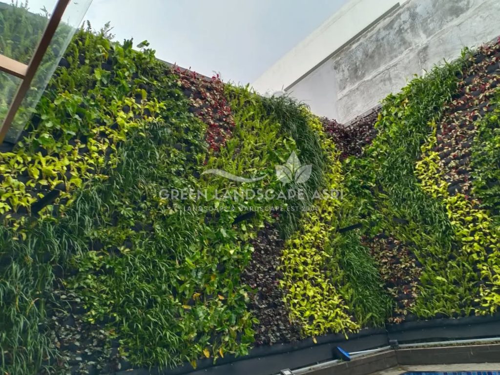 Harga Pasang Taman Vertikal