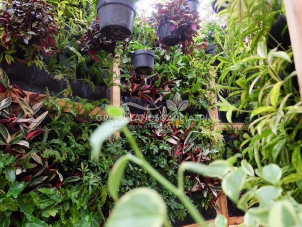 Harga Pasang Taman Vertikal