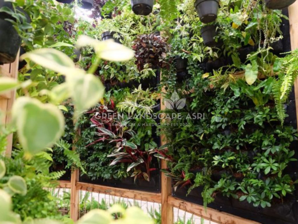 Harga Pasang Taman Vertikal