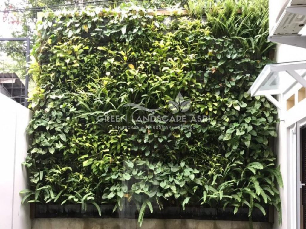 Harga Pasang Taman Vertikal