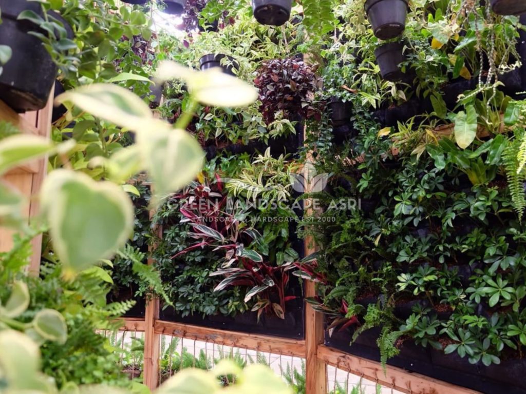 Harga Pasang Taman Vertikal