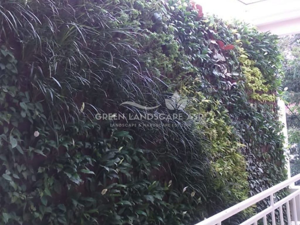 Harga Pasang Taman Vertikal