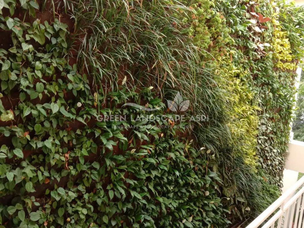 Harga Pasang Taman Vertikal