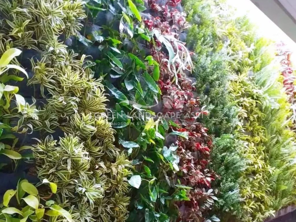 Jasa Pembuatan Vertical Garden