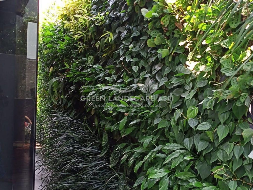 Harga Pasang Taman Vertikal