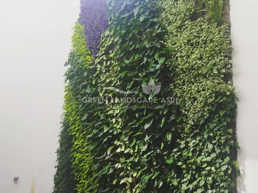 Harga Pasang Taman Vertikal