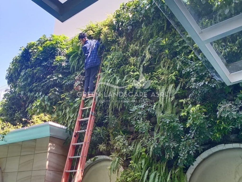 Harga Pasang Taman Vertikal